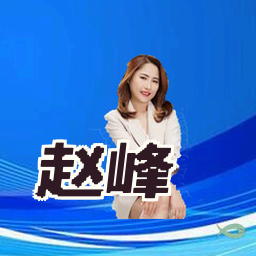 赵峰